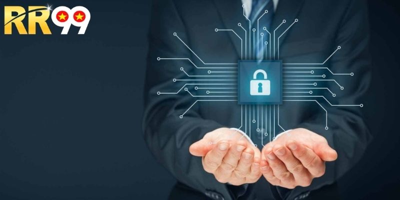 Khám phá các thông tin thú vị về điều khoản điều kiện RR99